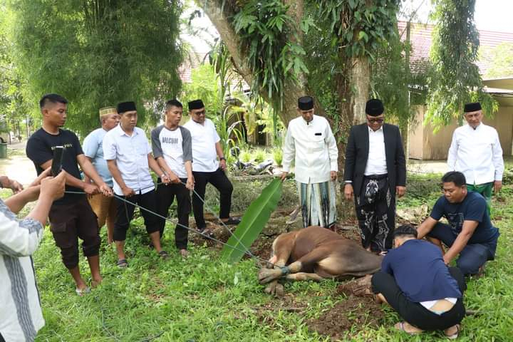 FB IMG 1718659664795